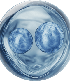 Niacinamide