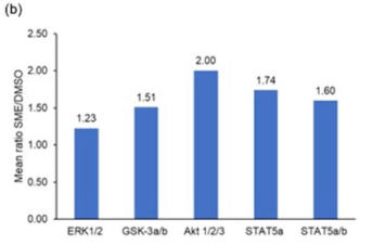 Graphe1