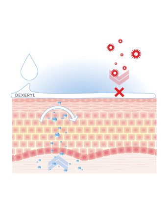 Actifs Dexeryl