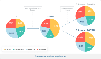 EN-Elution · Évolution des espèces bactériennes et fongiques.png