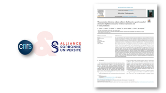 publication