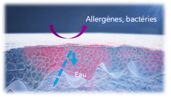 Dezyane mécanisme d'action