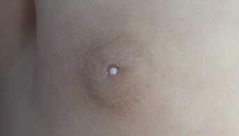 Perle