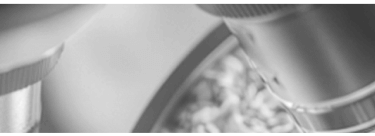 Header